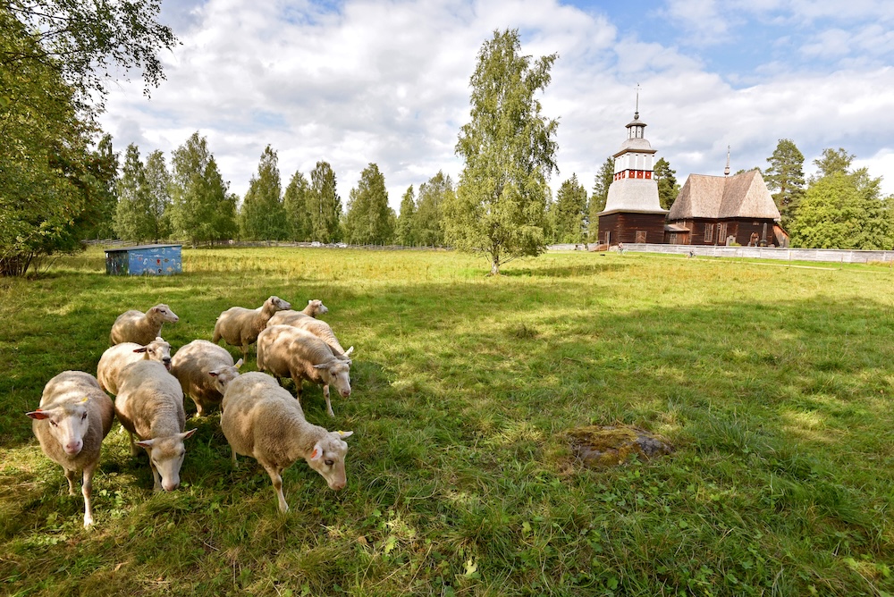 Maaseuturahoituksella rakennetaan vierailukeskus Petäjäveden vanhalle kirkolle. Kuva: Keski-Suomen elinvoimakeskus/Korzhenko